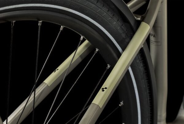 631213 d 139261 1396968.jpg