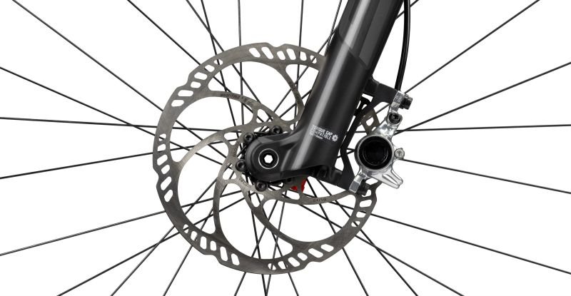 Radon Jealous 9.0 8.jpg