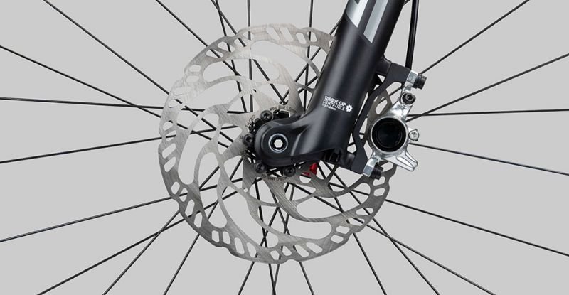 Radon Jealous AL 10.0 SL 8.jpg