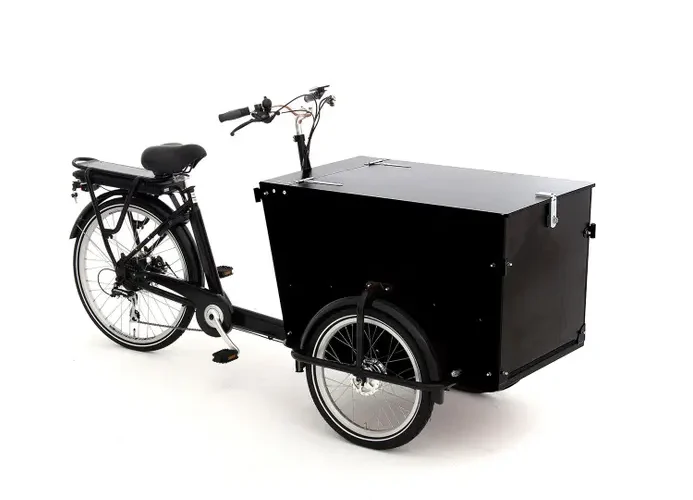 babboe pro trike e 300 l rb hd 450 schwarz 82197 01.webp